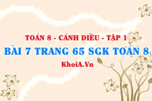Bài 7 trang 65 SGK Toán 8 tập 1 Cánh Diều
